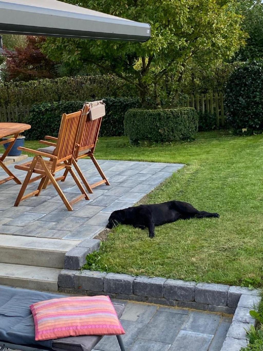 Ferienhaus Glueckspilz Beim Hennesee Meschede Exterior foto